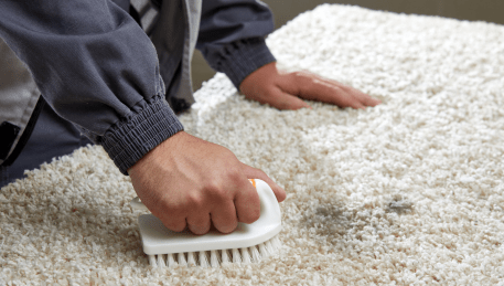 Professional Rug Cleaning Claretown